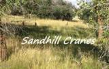 9693 Red Hawk Trail - Photo 23