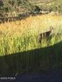 9693 Red Hawk Trail - Photo 24