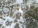 276 White Pine Canyon Road - Photo 10