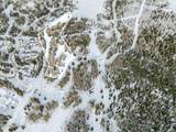 277 White Pine Canyon Road - Photo 7