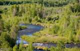14311 Buck Horn Trail - Photo 32