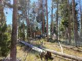 5559 Forest Drive - Photo 19