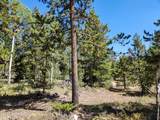 5559 Forest Drive - Photo 20