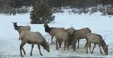 8398 Highway 302 - Photo 47