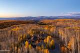 12945 Forest Creek Road - Photo 78