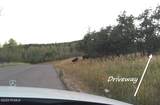 9693 Red Hawk Trail - Photo 19