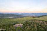 10716 Forest Creek Road - Photo 4