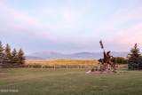 10716 Forest Creek Road - Photo 44