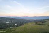 10716 Forest Creek Road - Photo 47