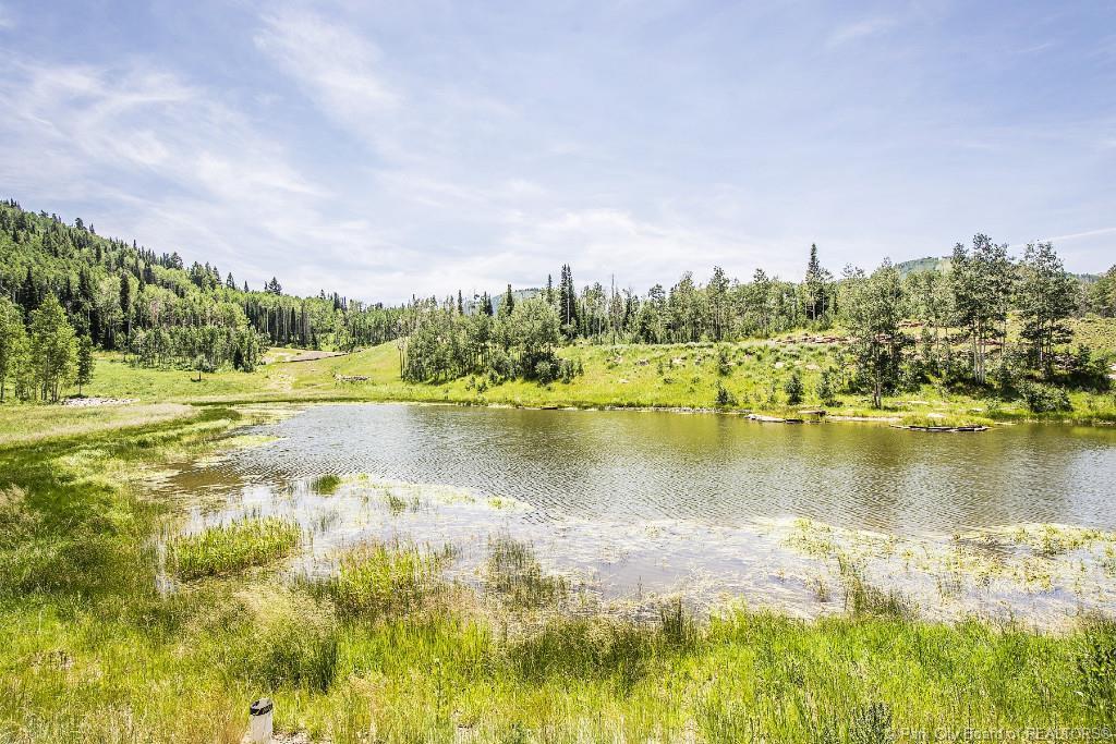 248 White Pine Canyon Road - Photo 1