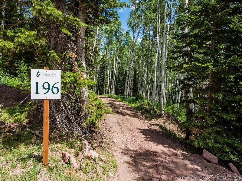 196 White Pine Canyon Road - Photo 1