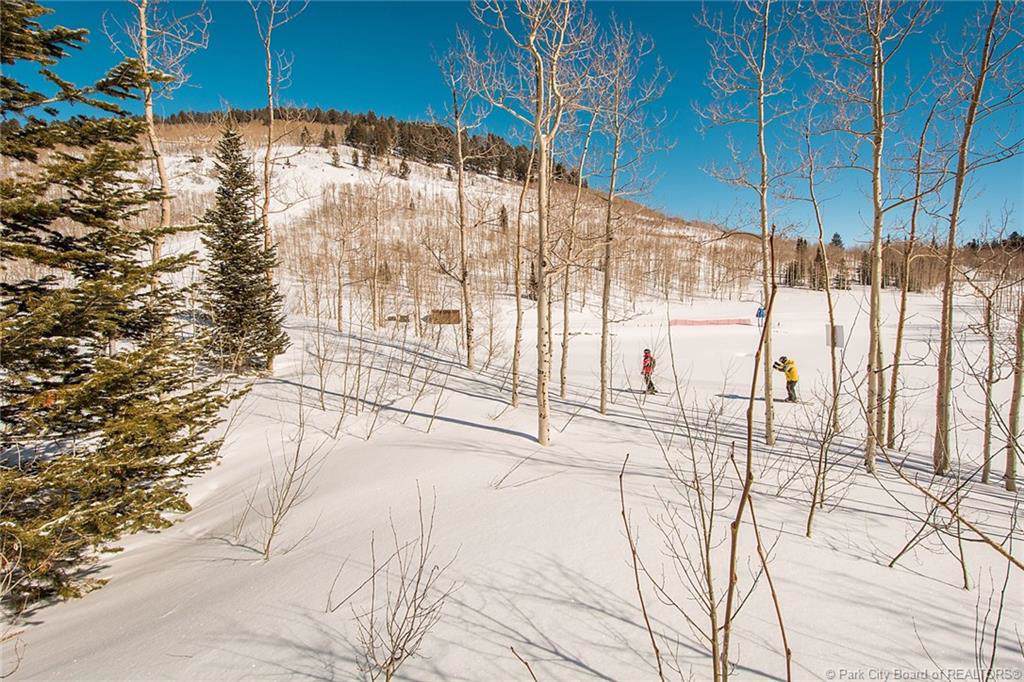 227 White Pine Canyon Road - Photo 1