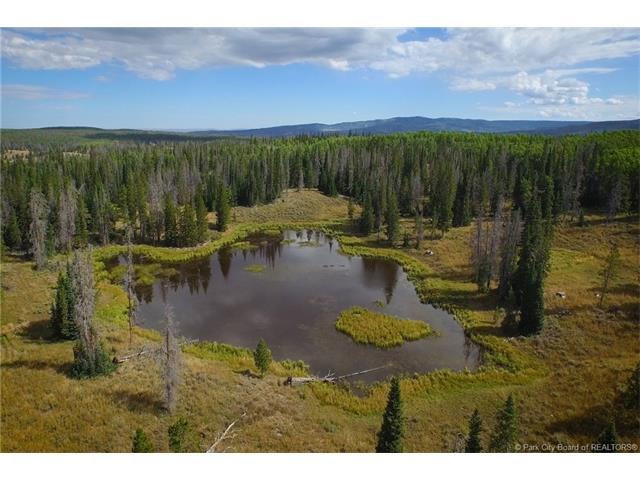3532 Monviso Trail - Photo 1