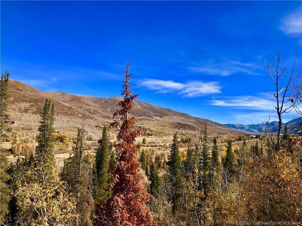 5851 Uncompahgre - Photo 1