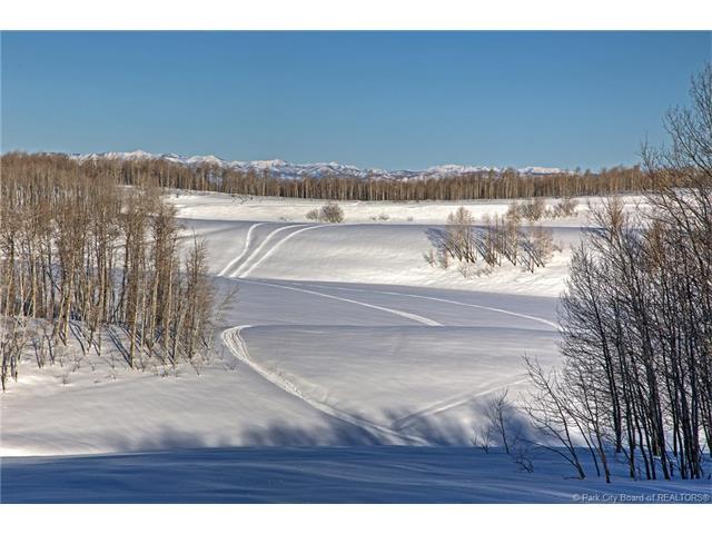 10745 Silver Spur - Photo 1