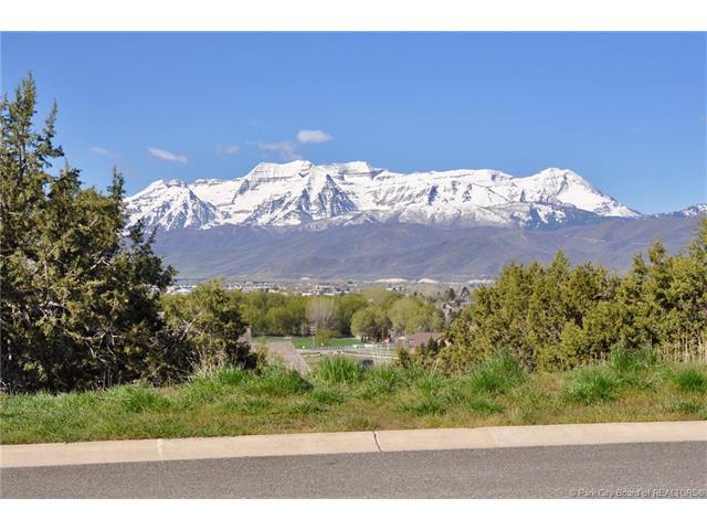261 Kings Peak Ct. (Cp1-26) - Photo 1