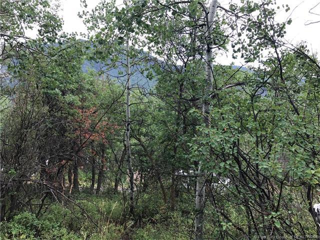 135 Camanche Pass - Photo 1