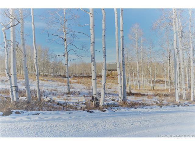 3804 Blazing Star Way - Photo 1