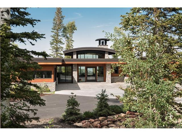51 White Pine Canyon Road - Photo 1