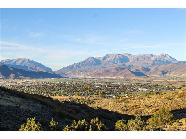 2353 La Sal Peak Dr (Lot 507) - Photo 1