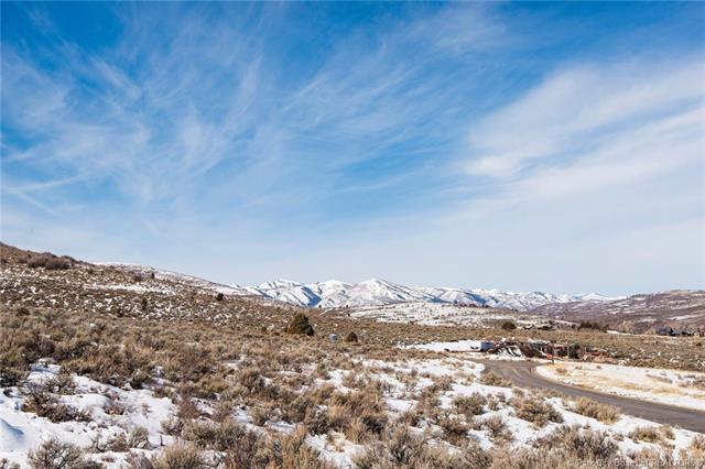 6110 Blue Wing Loop - Photo 1
