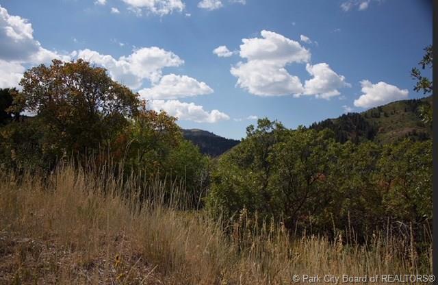 7144 Canyon Drive - Photo 1