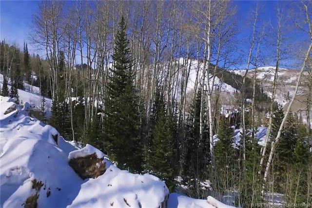 85 Silver Strike Trail - Photo 1