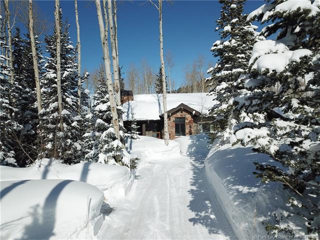 228 White Pine Canyon Road - Photo 1