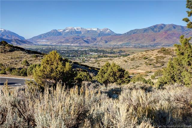 2303 La Sal Peak Dr (Lot 508) - Photo 1