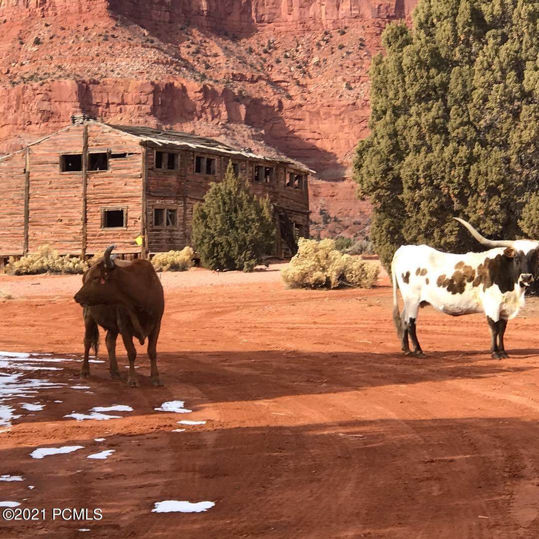 351 Acres West Of Kanab - Photo 1