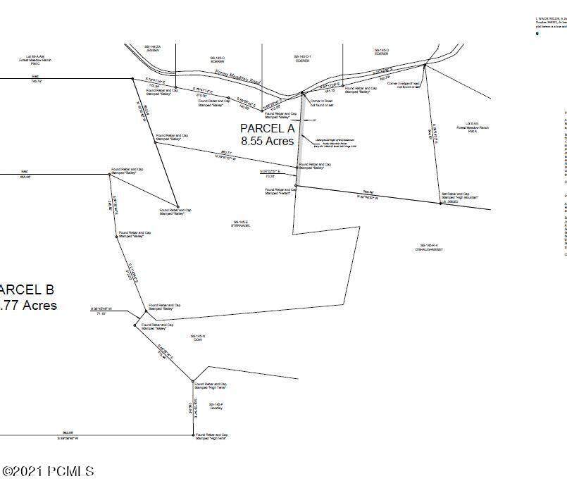 Tbd Forest Meadow Road - Photo 1