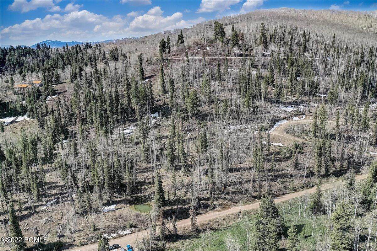 1741 Alexander Canyon Road - Photo 1