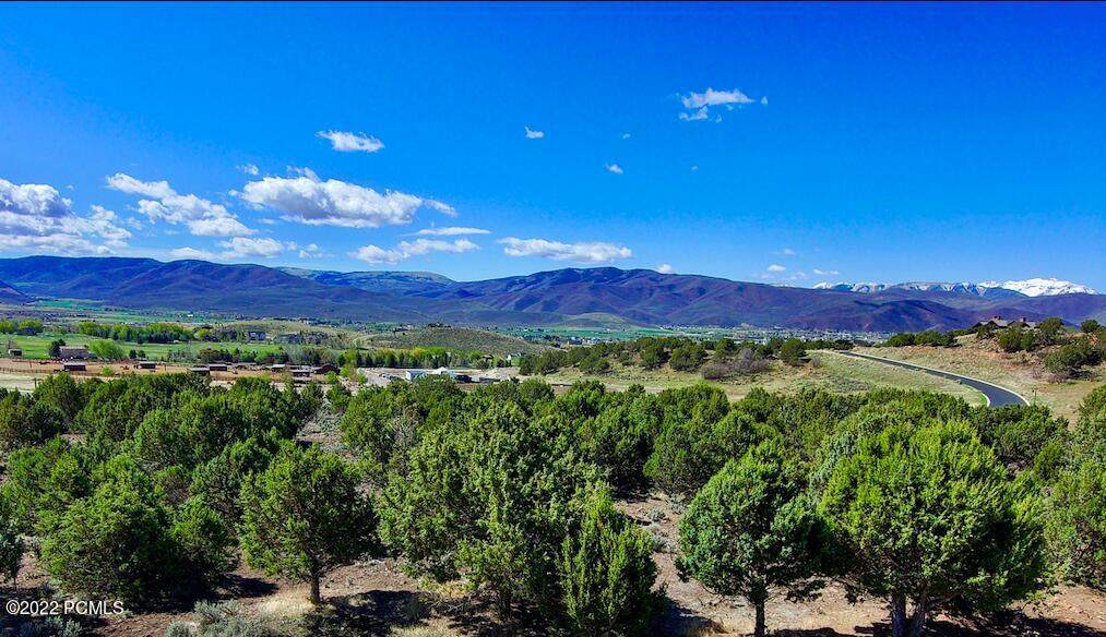 295 Ibapah Peak Drive - Photo 1