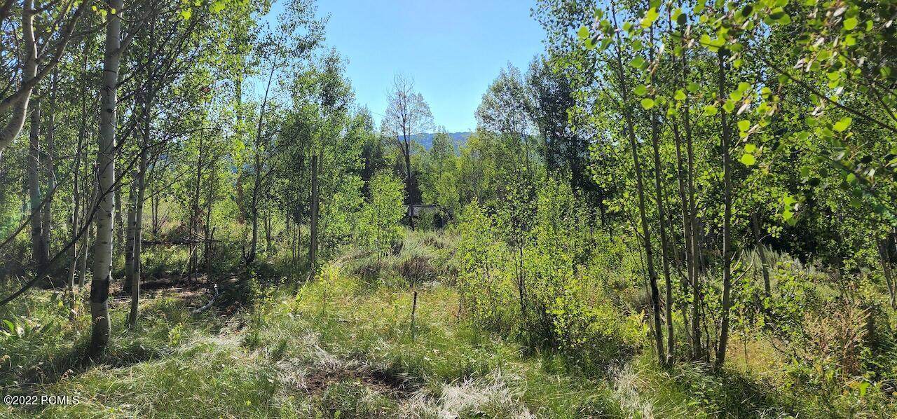 4 Ridgecrest Drive - Photo 1