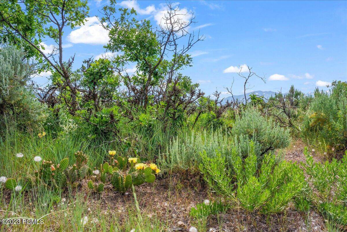 11 Skyline View Drive - Photo 1