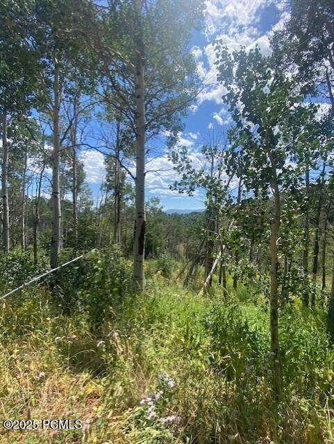 https://bt-photos.global.ssl.fastly.net/parkcity/orig_boomver_1_12503411-2.jpg