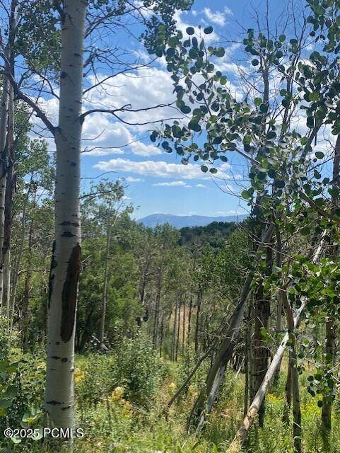 https://bt-photos.global.ssl.fastly.net/parkcity/orig_boomver_1_12503411-2.jpg