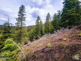 36 Sky Haven Mountain Retreat - Photo 1