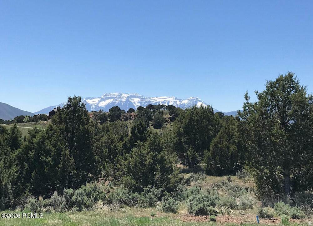295 Ibapah Peak Drive - Photo 1