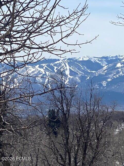 https://bt-photos.global.ssl.fastly.net/parkcity/orig_boomver_1_12601075-2.jpg