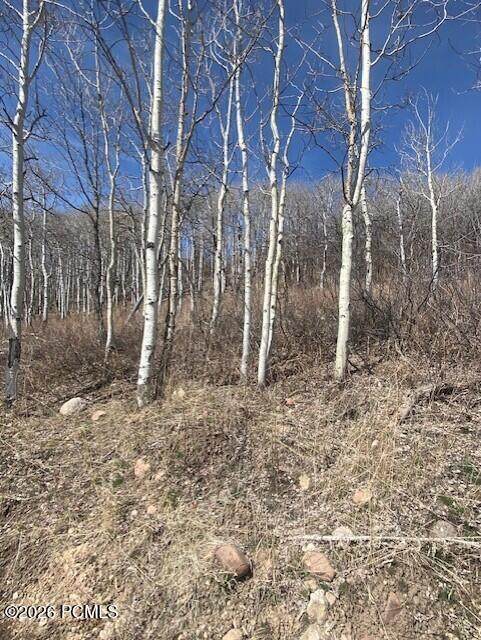 https://bt-photos.global.ssl.fastly.net/parkcity/orig_boomver_1_12601075-2.jpg