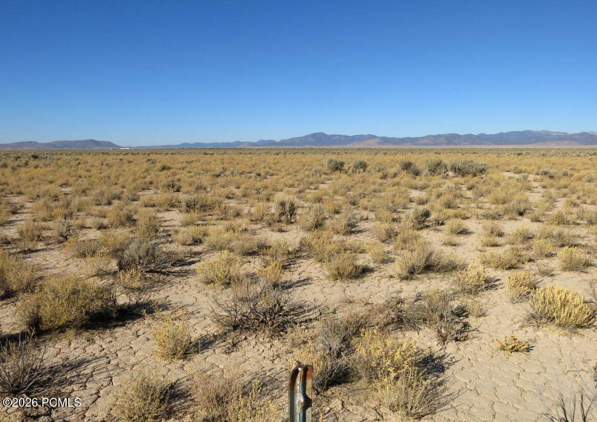 80 Acres Cougar Road - Photo 1