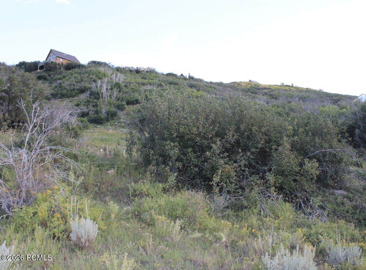 https://bt-photos.global.ssl.fastly.net/parkcity/orig_boomver_1_12601736-2.jpg