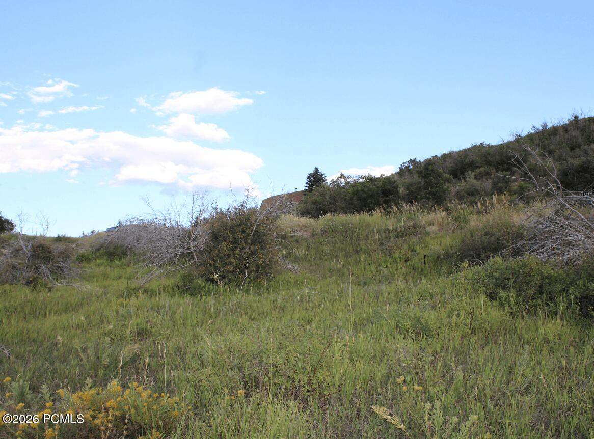 https://bt-photos.global.ssl.fastly.net/parkcity/orig_boomver_1_12601736-2.jpg