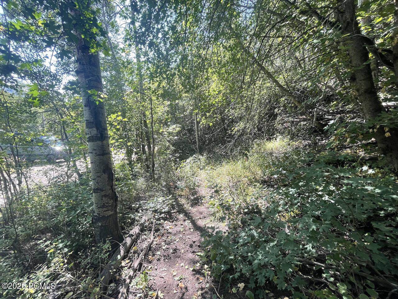 10337 River Road - Photo 1