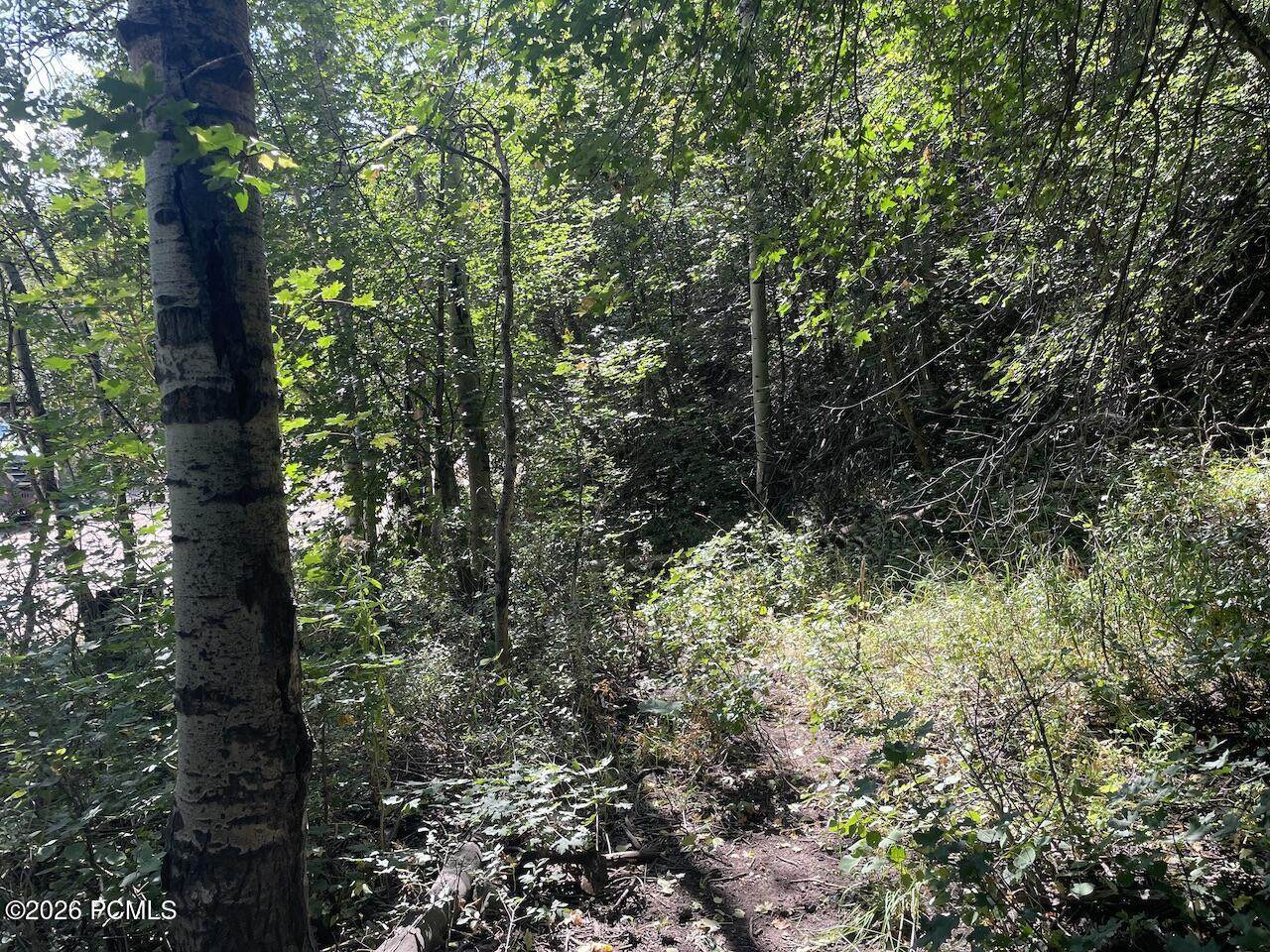 https://bt-photos.global.ssl.fastly.net/parkcity/orig_boomver_1_12601756-2.jpg