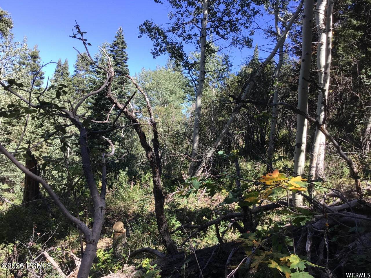 https://bt-photos.global.ssl.fastly.net/parkcity/orig_boomver_1_12601834-2.jpg