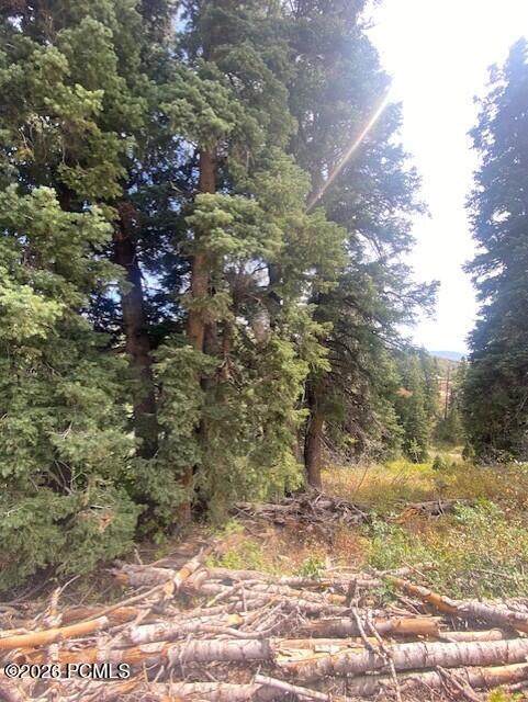 https://bt-photos.global.ssl.fastly.net/parkcity/orig_boomver_1_12602292-2.jpg