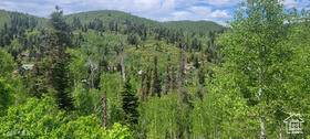 https://bt-photos.global.ssl.fastly.net/parkcity/orig_boomver_1_12602544-2.jpg