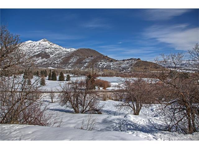 925 Snake Creek Road - Photo 1